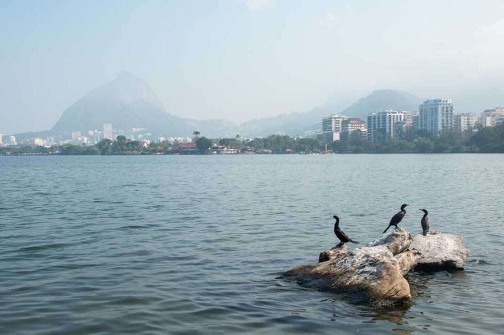 Does @KayakSofa have the best view at Lagoa Stadium in Rio?